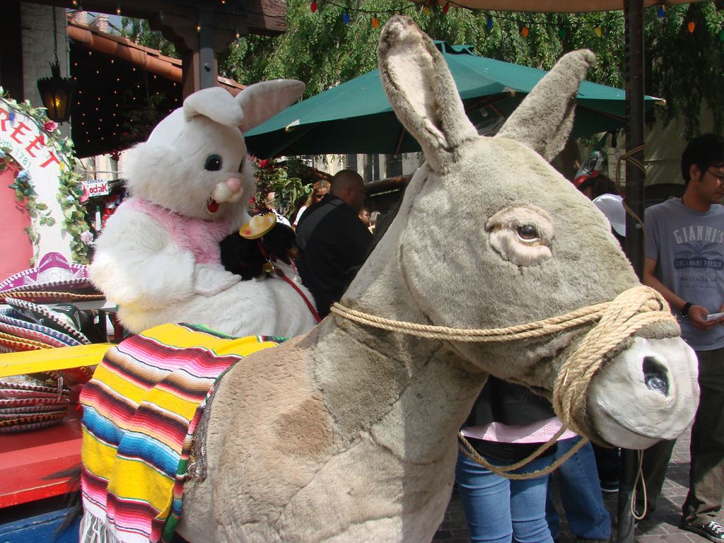 Bunny Donkey