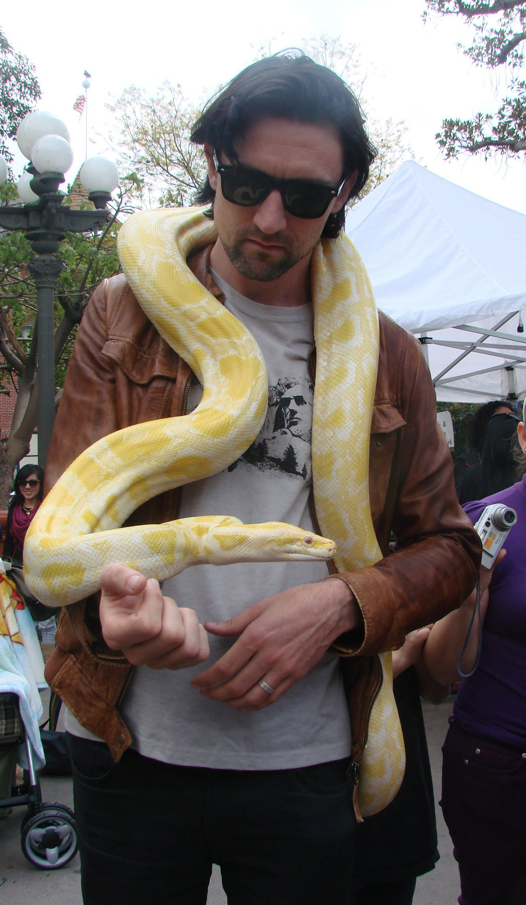 assets/packshots/snake.jpg